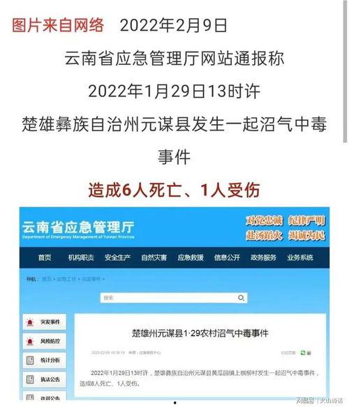 彭州网友爆料新闻视频,惊险一幕！视频揭露惊人真相