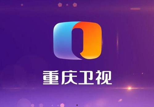 重庆卫视爆料最新消息